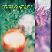 Silverleaf And Snowy Tears by Superchunk