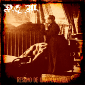 Resumo de uma não vida