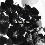 Laveda: Dream. Sleep.