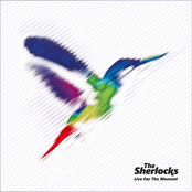 Live For The Moment by The Sherlocks