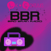 BIRD BRAIN RADIO