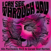 I Can See Through You: 60s Psychedelic Rock & Garage Beat Rarities, Vol. 2