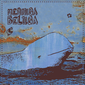 Meshuga Beluga