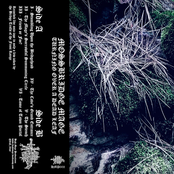 Turning Over a Dead Leaf