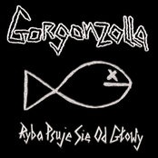 Ryba psuje się od głowy