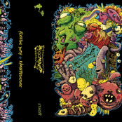 Blooming: A Fuzz-Fucked Compilation