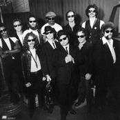 the blues brothers band