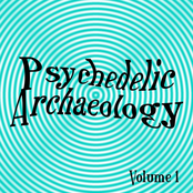 Psychedelic Archaeology Volume 1