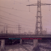 Ravha/electricity Gardens