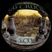 Shotgun by Las Cruces