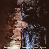 Finding Beauty In Negative Spaces