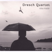 Ritka Madar (Rare Bird)