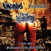 Fornication At The Battlefields