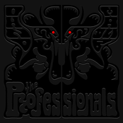 The Professionals