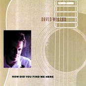 Just A Vehicle by David Wilcox