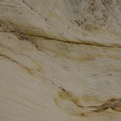 Todo lo Cría la Tierra