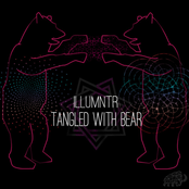 Tangled With Bear - Single