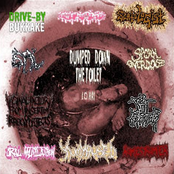 Dumped Down The Toilet