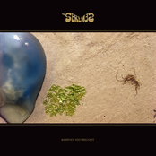 The Blurred, Concealed And Declined Songs Of The Serenes