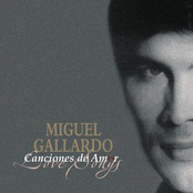 Canciones De Amor De Miguel Gallardo Album Picture