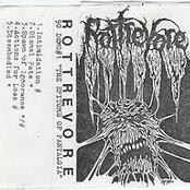 The Epitome Of Pantalgia