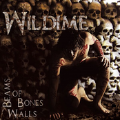 Beams of Bones Walls