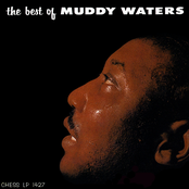 The Best Of Muddy Waters