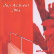 Pop Ambient 2001