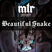 MTR Project: Beautiful Snake