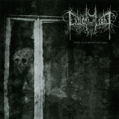 There Is No Beauty Left Here