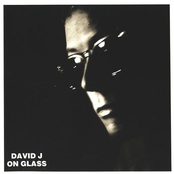 David J: On Glass: The Singles