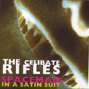 Big World by The Celibate Rifles