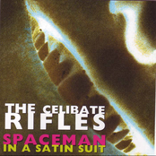 Seams by The Celibate Rifles