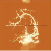 Tighter Noose by Abandoned Pools