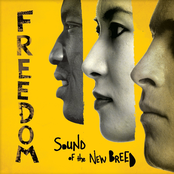 I Am Free by Sound Of The New Breed