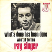 ray singer