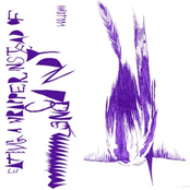 Eating a Wrapper Instead of Candy