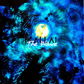Kallai: The Wave