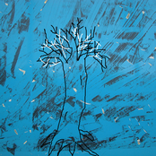 Mallory III and Long//Father [split ep]