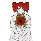 Poppies in the field