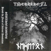 Beyond The Forest Of Infernal Devastation