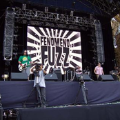 Fenomeno Fuzz