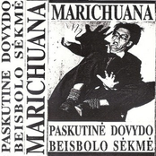 Paskutinė Dovydo Beisbolo Sekmė