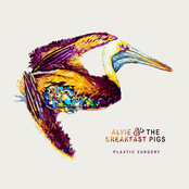 Alvie & The Breakfast Pigs: Plastic Surgery