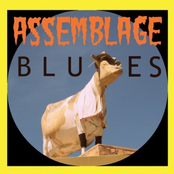 Dan Melchior: Assemblage Blues