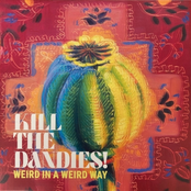 Weird in a Weird Way