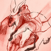 I Wish You Would Crash Your Car So I Wouldnt Have To Talk To You Anymore