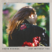 Freya Ridings: Lost Without You