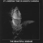 Drei Worte by The Beautiful Disease