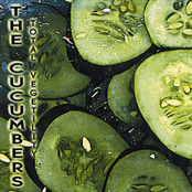 Indivisible by The Cucumbers